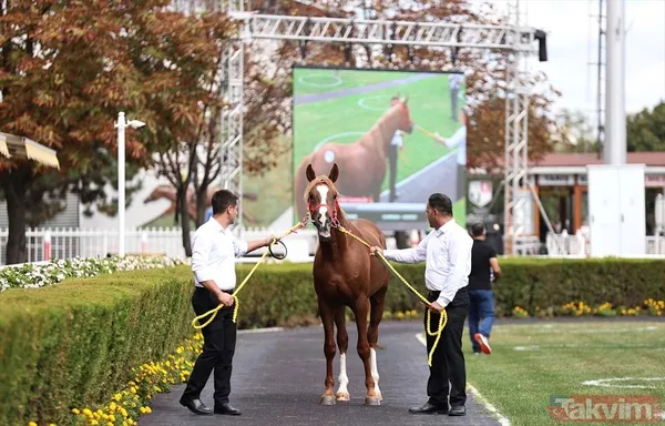 14 at toplamda 4 milyon 640 bin liraya satıldı - 5