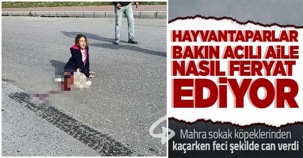 Mahra’nın ailesinden anlamlı çağrı