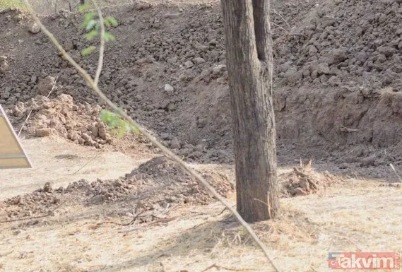 Bu fotoğraf bakanlara saç baş yoldurdu! Bir leopar var ama hadi bulun bulabilirseniz! Zor olduğuna eminiz arayanların yüzde 99'u vazgeçti - 3