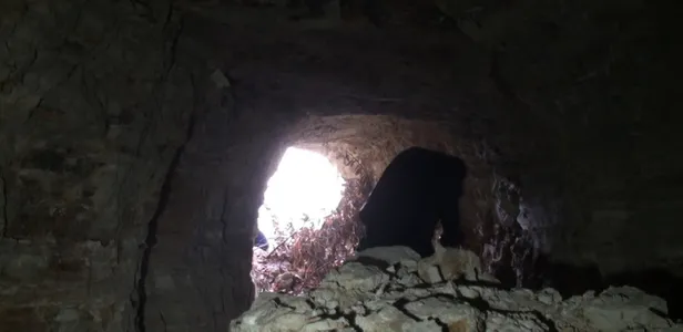 Bartın'da 20 metrelik "define tüneli" bulundu-2
