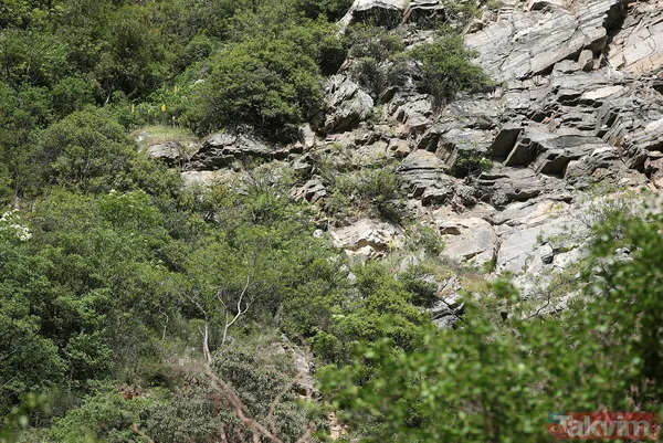 Bursa'da tam kapanma tedbirlerini delen genç, polisten kaçıp tırmandığı kayalıkta mahsur kaldı - 10