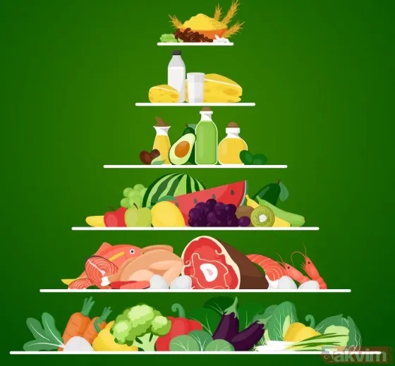 ABD beslenme piramidini güncelledi: Kırmızı et ve tam yağlı ürünler geri döndü - 5