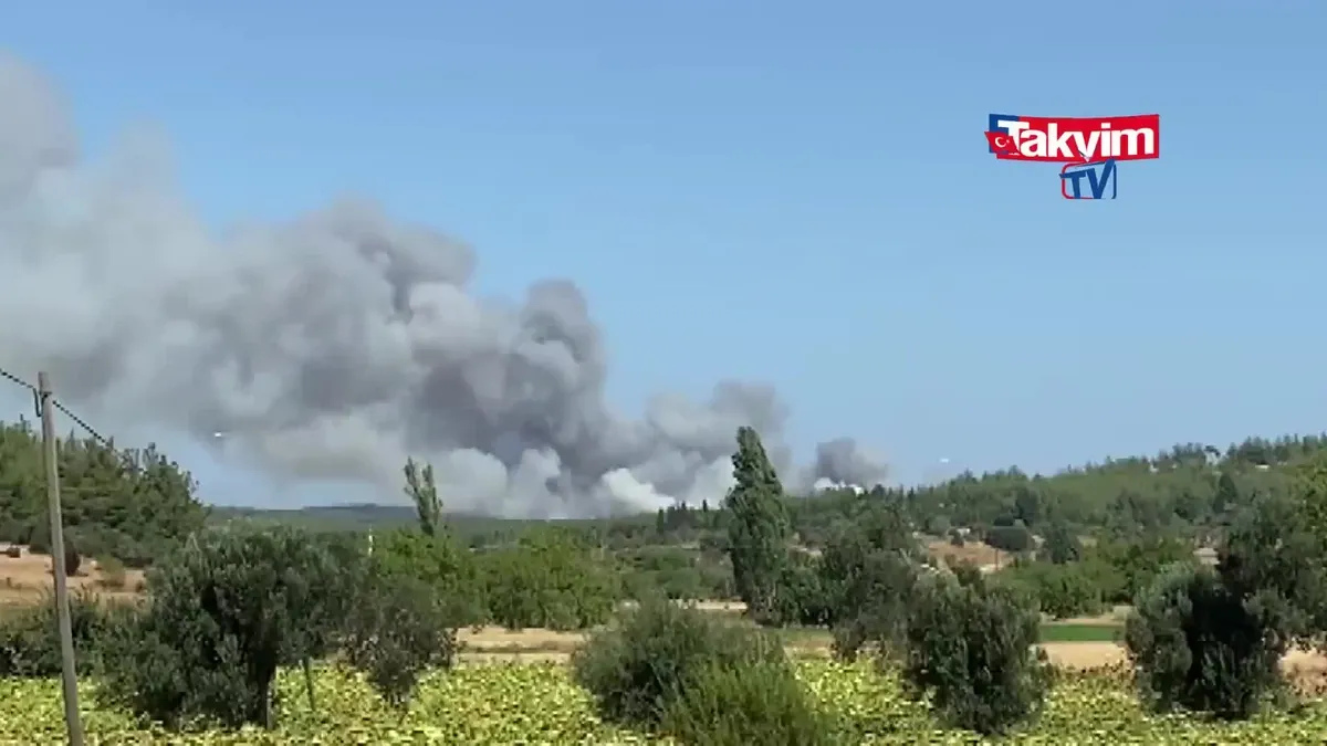 ÇANAKKALE YANGIN HABERİ: Eceabat'ta orman yangını! | Dumanlar göğe yükseliyor! İlk görüntüler