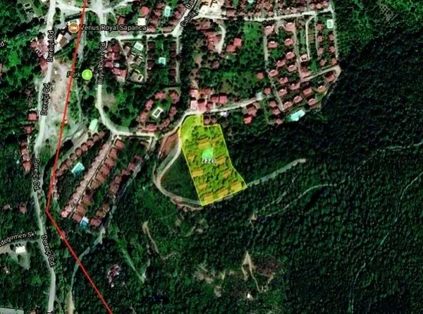 Gezici Sıla'dan ormanın içindeki villaya servet!-3