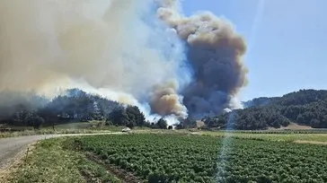 İZLE I Çanakkale’de orman yangını: Havadan ve karadan müdahale sürüyor