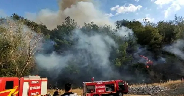 Denizli'de meydana gelen orman yangını vatandaşların da yardımıyla söndürüldü