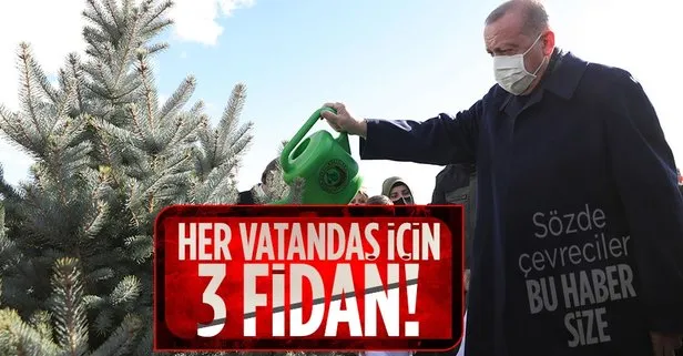 Başkan Erdoğan duyurdu: Geleceğe Nefes kampanyasıyla 252 milyon fidanı toprakla buluşturacağız