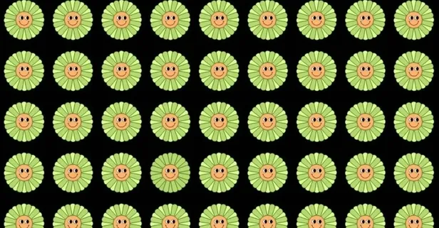 Optik illüzyon! Resimdeki papatyayı 10 saniyede bulan çıkmıyor