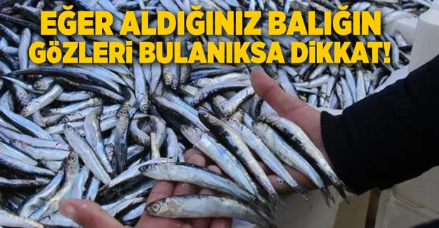 Taze gıdalar nasıl anlaşılır?