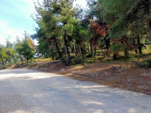 kendisine-tecavuz-etmeye-kalkisan-oglunu-olduren-anne-ve-babaya-haksiz-tahrik-indirimi-verildi-1623938935950.jpg Kendisine tecavüz etmeye kalkışan oğlunu öldüren anne ve babaya haksız tahrik indirimi verildi-4