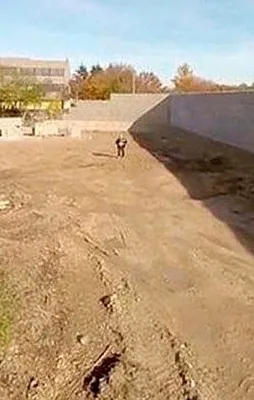 Almanya'dan utanç kararı!