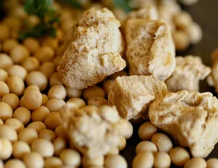 Kansere karşı iyi gelen, koruyan besinler neler? DNA'yı güçlendiriyor, ilaç kullanımına gerek kalmıyor