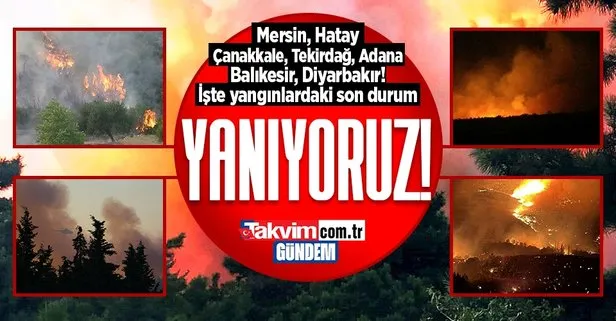 Mersin, Hatay, Çanakkale, Tekirdağ, Adana, Balıkesir, Diyarbakır’da orman yangını! Yangında son durum ne?