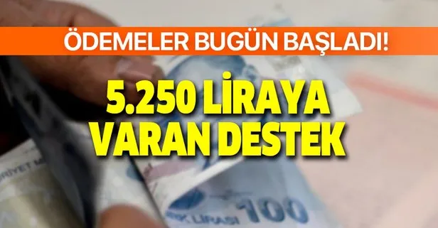 5.250 liraya kadar veriliyor! Aynı anda iki destek...