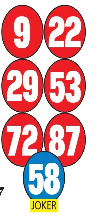 katliamin-hizi-1702169834572.jpeg Anne ve oğlunun acı sonu: Yolun karşısına geçerken cip çarptı-4