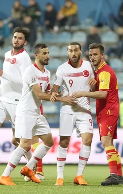 Millilerden kardeş payı