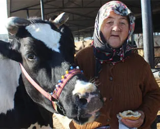 Hiç ineği yok ama yüzlerce litre süt satıyor