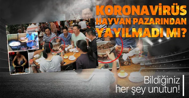Bildiğiniz her şeyi unutun! Koronavirüs Wuhan'daki hayvan pazarından yayılmadı mı?