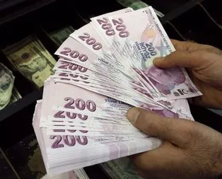 DEİK’ten Türk Lirasına destek