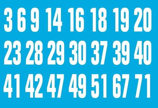 Bayram ziyareti için Samsun'a giden adamı köpek ısırdı (Yaşam haberleri)-3