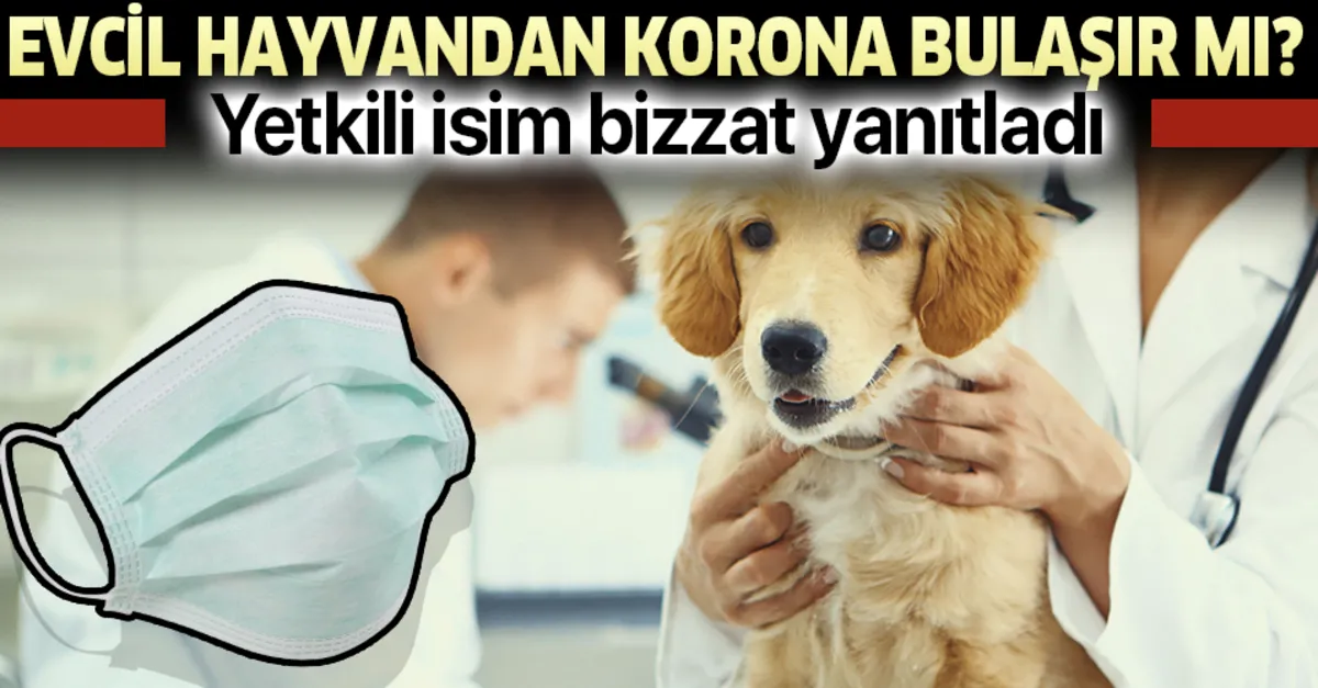 takvim gazetesi