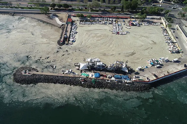 Marmara Denizi'ndeki deniz salyasına karşı Çevre ve Şehircilik İl Müdürlüklerine talimat verildi