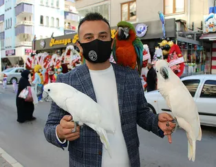 Araba fiyatına papağan