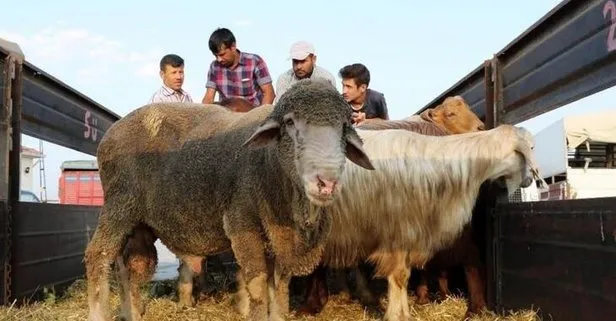kurban keserken okunacak dua kurban