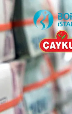 Türkiye Varlık Fonu devler liginde!