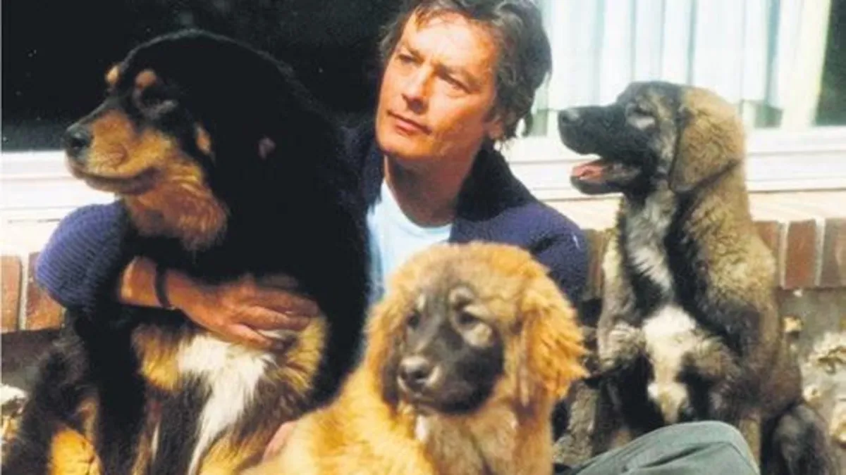Alain Delon'un vasiyeti yeniden gündemde: "Beni 35 köpeğimin yanına gömün"