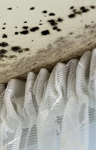 Rüyada küf görmek ne anlama gelir?