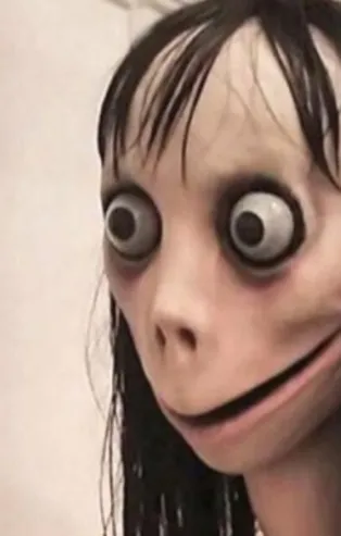 Cumhurbaşkanlığı'ndan Momo'ya karşı 8 önlem