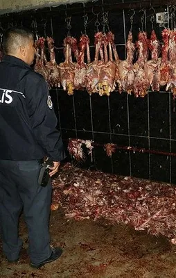 Görüntüler mide bulandırdı