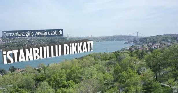 Son dakika! İstanbul Valisi açıkladı: Ormanlara giriş yasağı 1 ay daha uzatıldı