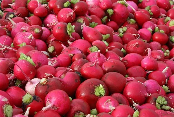 Kabızlığa turp