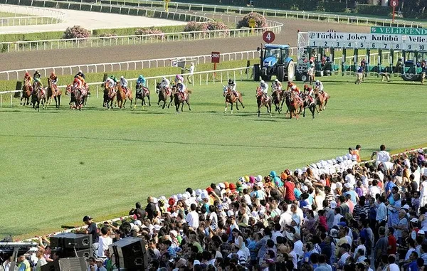 Yüzmede Elif İldem 8. sırada yer aldı (Yurttan ve dünyadan spor haberleri)-10