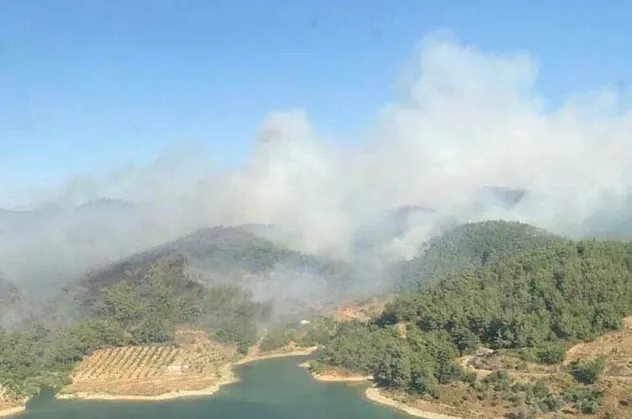 İzmir'de Seferihisar'da orman yangını