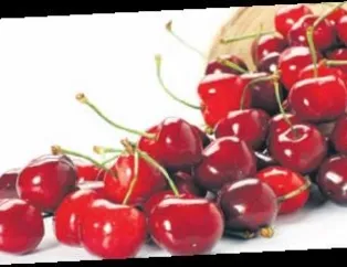 Kulaklara küpe olsun