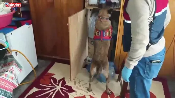 Yozgat merkezli uyuşturucu operasyonunda yakalanan 10 şüpheliden 4'ü tutuklandı