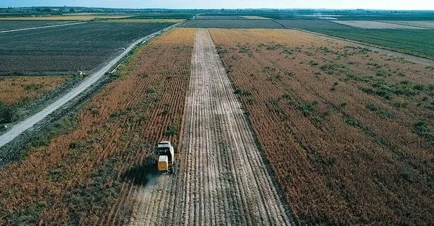 Son dakika: Tarım ÜFE temmuzda arttı