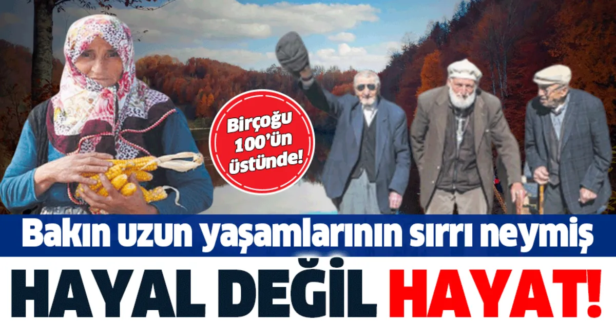 ordu nun golkoy ilcesinde 100 yasini