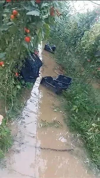 Antalya'da sel: Şiddetli yağış su baskınlarına neden oldu-3