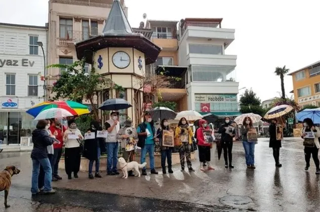 Büyükada'da çöp kamyonlarının ezdiği köpekler için toplandılar!