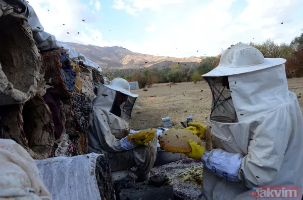 Kilosu 350 TL! 3 bin rakımda üretilen karakovan balından bu yıl 250 ton bekleniyor - 10