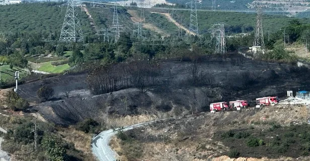 Eyüpsultan'da yangın! Alevler söndürüldü ağaçlar küle döndü