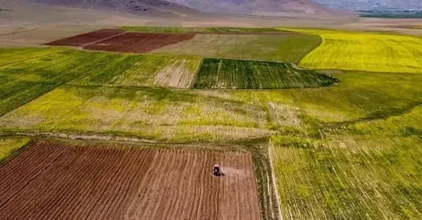 Fiyatlar belli oldu! 8.000 TL'ye, 11.000 TL'ye arsa, arazi ve tarla satışı başladı