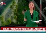 Yaz gribinden nasıl korunulur?