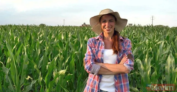 Çiftçiye mazot, yem ve gübre desteği! Tarım ve Orman Bakanı Vahit Kirişci açıkladı! Nasıl yararlanılacak? İşte detaylar... - 20