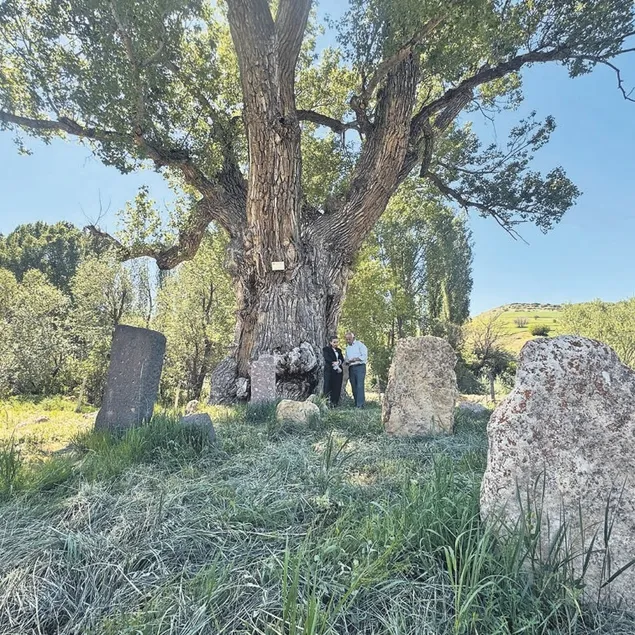 750 yıllık Karakavak’ın gölgesinde Türkler