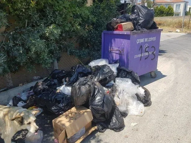 izmir-cesmede-cop-krizi-chpli-belediye-seyirci-kaldi-1623093748924.jpeg İzmir Çeşme'de çöp krizi! CHP'li belediye seyirci kaldı...-1